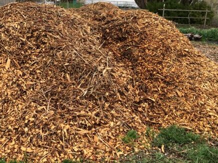A pile of wood chips, a common organic mulch used in landscaping and gardening. Wood chips provide moisture regulation, weed suppression, and soil enrichment, benefiting tree health and landscape maintenance.